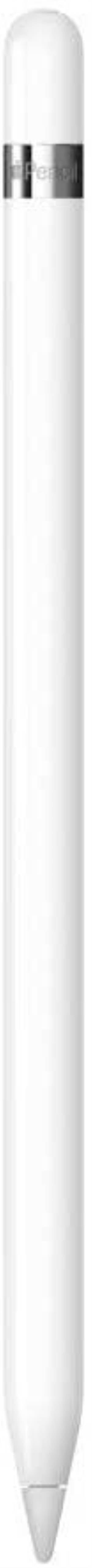 Apple Pencil 1Gen per iPad +Adattatore USB-C MYQW3ZM/A